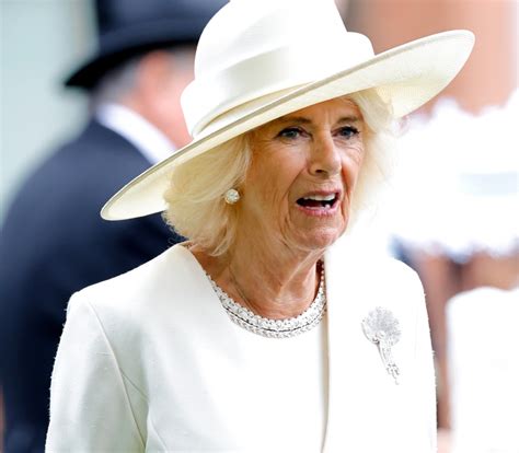 camilla wears dior|queen camilla dress.